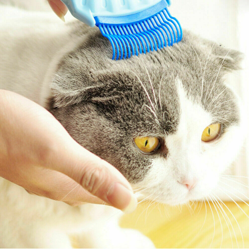 Pet Massage Shell Brush - Image 3